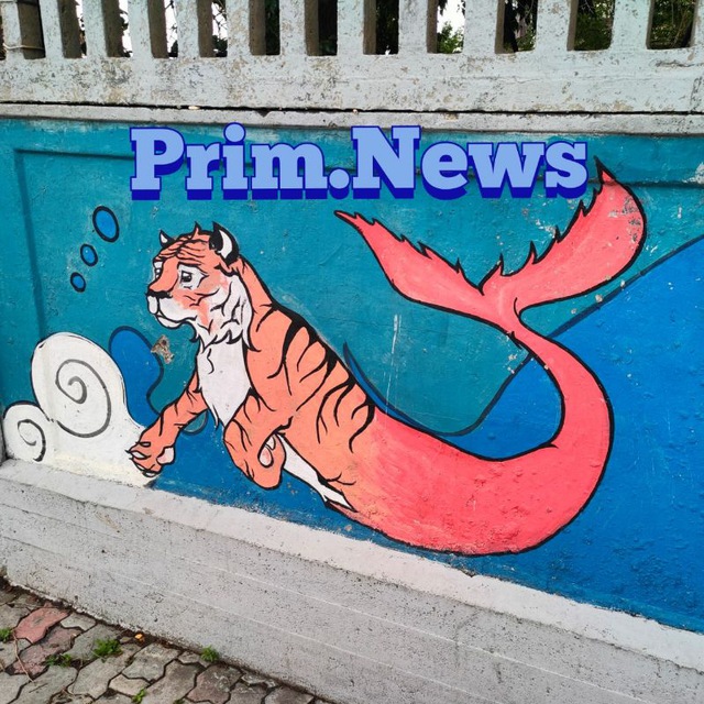 Prim.News: новости Владивостока и Приморья