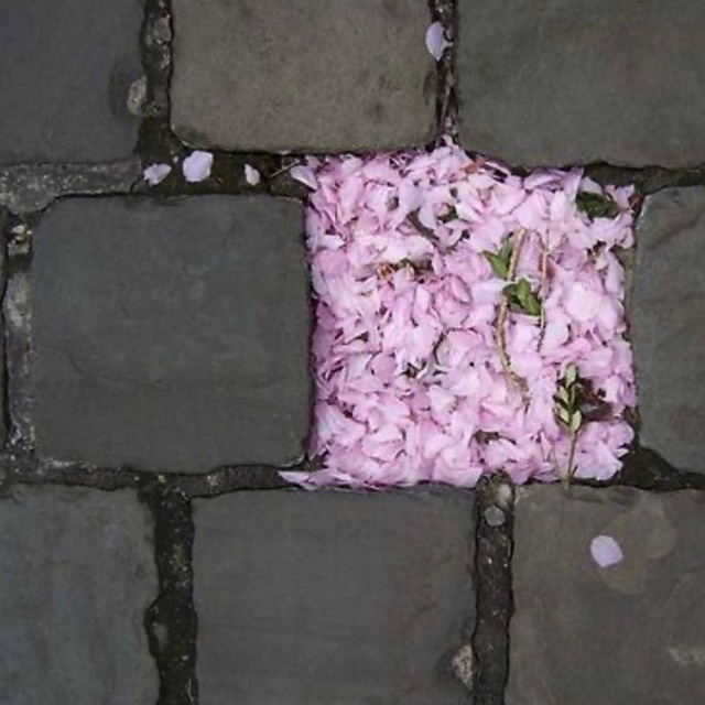 Апрельская🌸