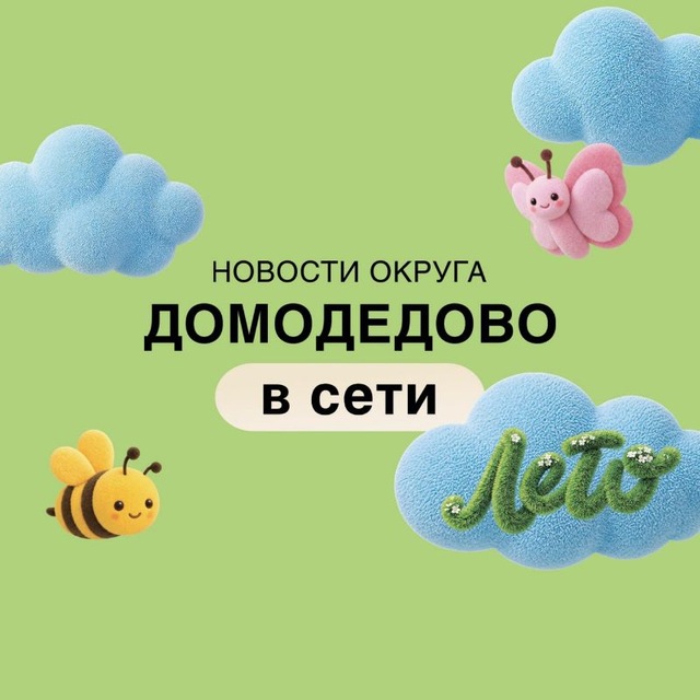 Домодедово в сети