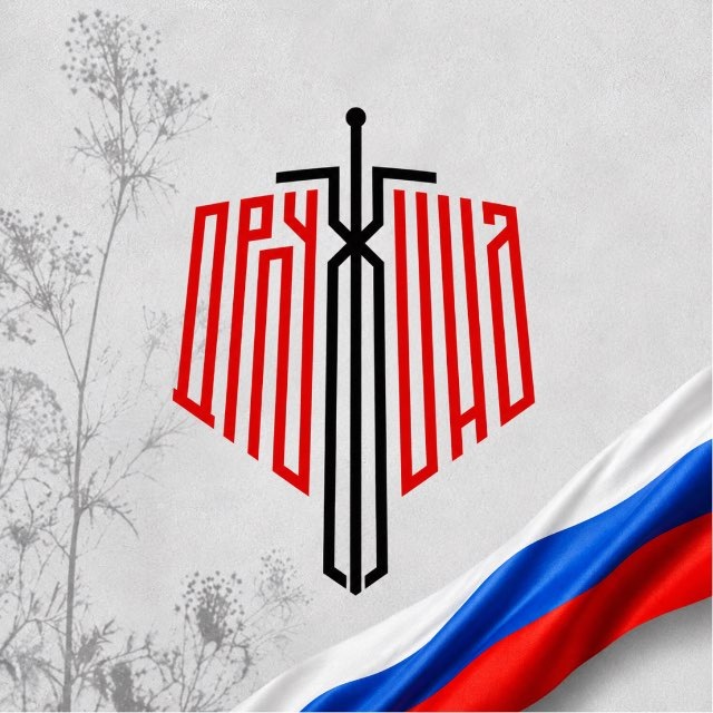 Народная Дружина
