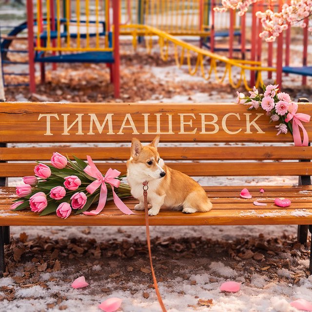 ТИМАШЕВСК НОВОСТИ