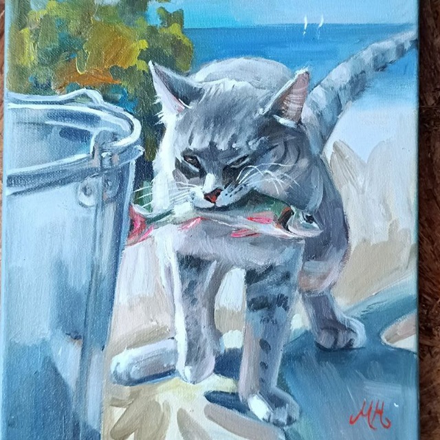 Котик в Крыму