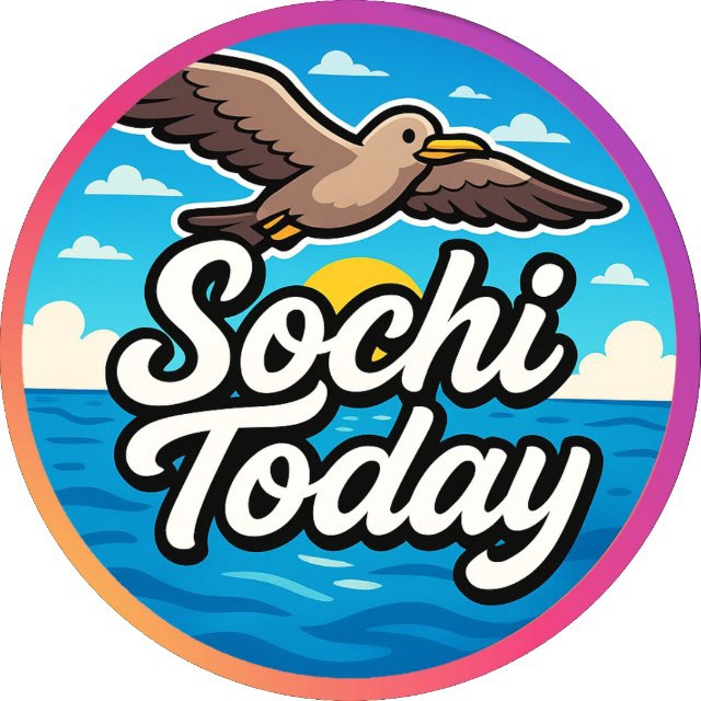 Sochi Today 🌀