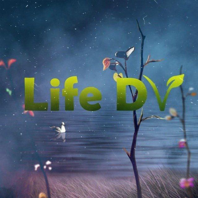 ЛайфДВ ✊ LifeDV