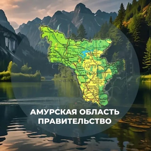 Амурская область | Правительство