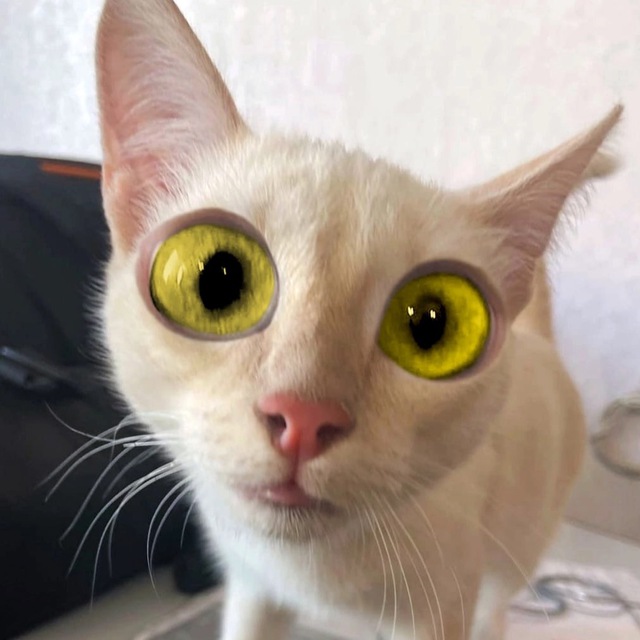 ПростоКопецк!🙀