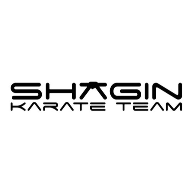 SHAGIN_TEAM🥇