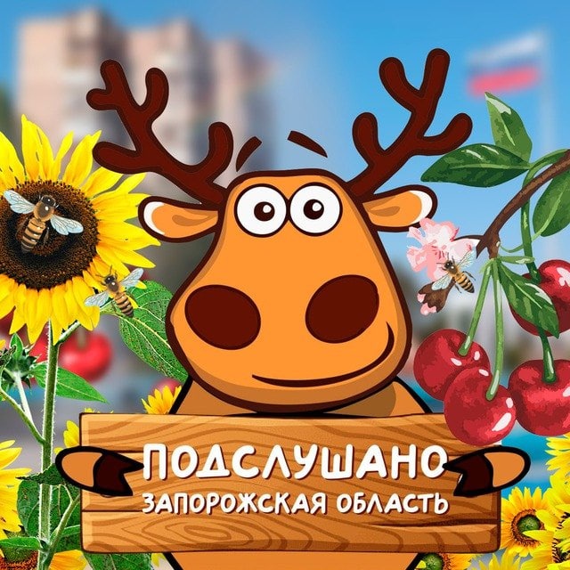 Подслушано Запорожская область