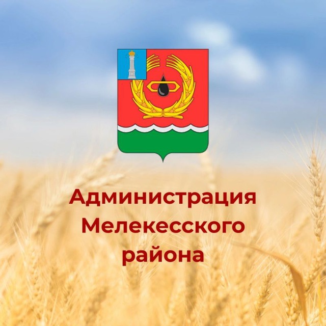 Мелекесский район
