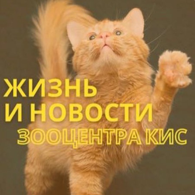 Жизнь Зооцентра КиС🦮🐈