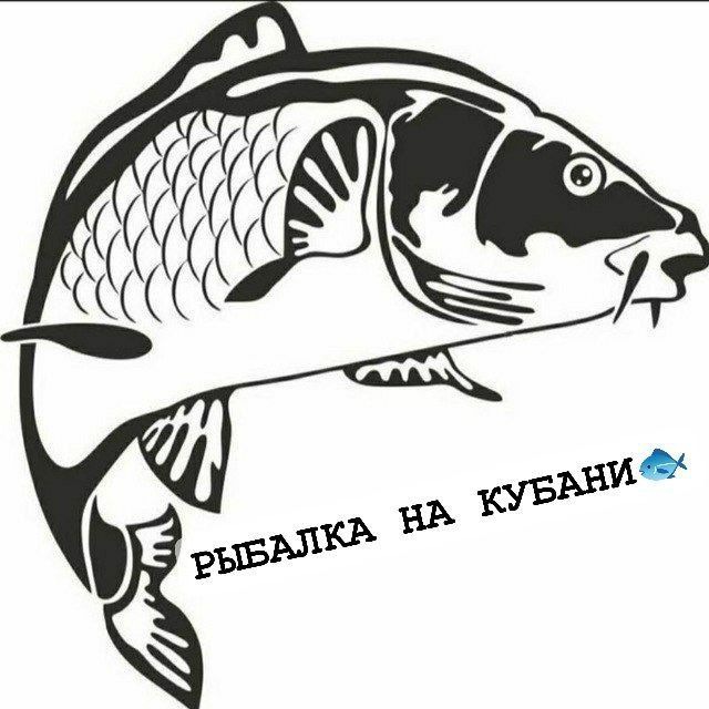 РЫБАЛКА НА КУБАНИ🐟