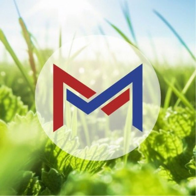 МариМедиа - новости Йошкар-Олы и Марий Эл