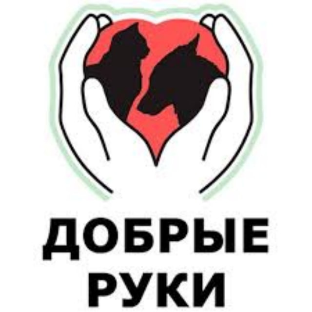 Добрые руки Ростова