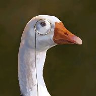 Важный Гусь
