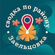 Сводка по району. Заельцовка