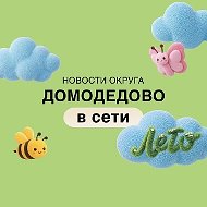 Домодедово в сети