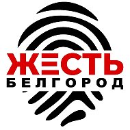Жесть Белгород