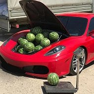 Авторынок Ростовской области