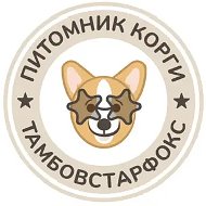 Корги
