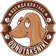 Такса. Однотаксники. Одежда для таксы.