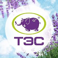 ТЭС сеть АЗС