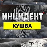 Инцидент Кушва