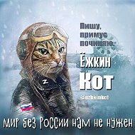 Ёжкин кот
