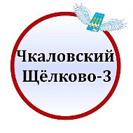 Чкаловский Щёлково 3 Чкалова Титова Гагарина ЧП МБУ МБУК ГОЩ СОШ