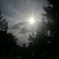 Вестник родимых болот