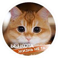 Без кота жизнь не та