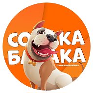 Собака бабака
