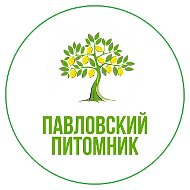 Павловский Питомник