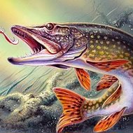 Рыбалка. Рыба. Рыбаки🎣