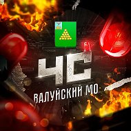 ЧС: Валуйский МО