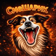 СмеШАРИК | Смешные животные