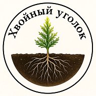 Хвойный уголок - саженцы, растения оптом и розницу