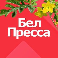 БелПресса | Новости Белгорода и области