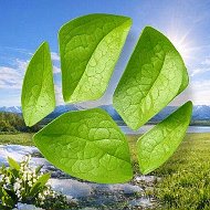 Живая Планета
