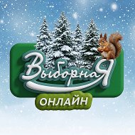 Выборная oнлайн (Новосибирск)