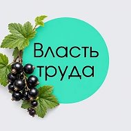 Власть труда