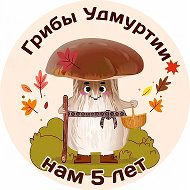 Грибы Удмуртии | Даниил Моисеев