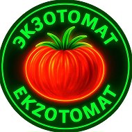 ЭКЗОТОМАТ 46. Коллекционные семена томатов.