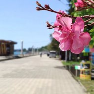 Abkhazia Open / Открытая Абхазия