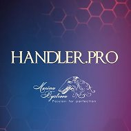 Handler.pro Хендлинг и груминг | Марина Быстрова