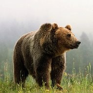 Красивая Россия