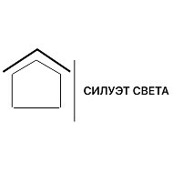 Силуэт Света