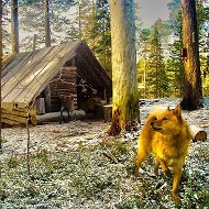 Охотники и рыболовы | Таёжная романтика ®
