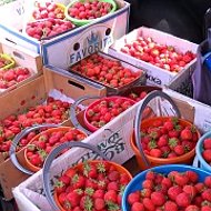 ВКУСНЫЙ ОГОРОД