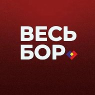 ВЕСЬ БОР