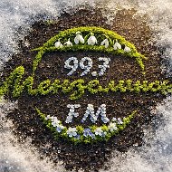 Мензелинск FM 99.7